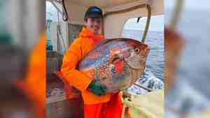 foto av ung mann som holder en stor og eksotisk utseende fisk om bord i båt