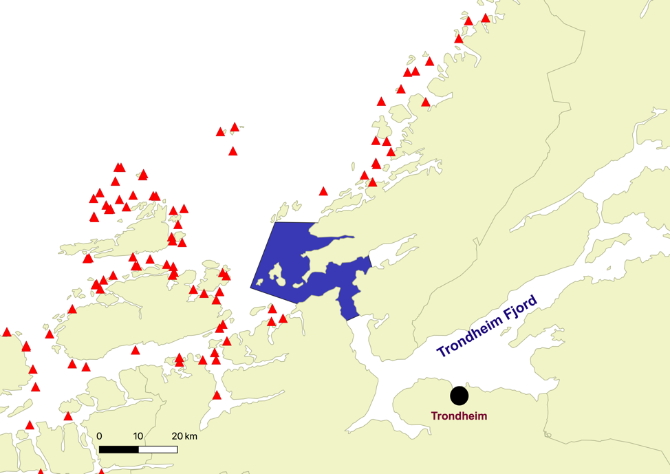 Fig. 1: A map showing the trawling area (blue) in the outer part of the Trondheim fjord and salmon farms (red triangles).