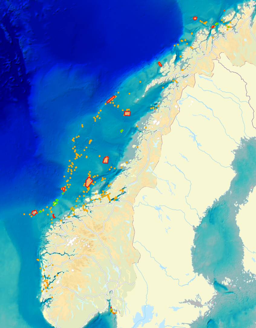 Det er kartlagt mange felt av kaldtvannskorallen Lphelia pertusa på norsk sokkel. Hovedsaklig finnes disse i Norskehavet.