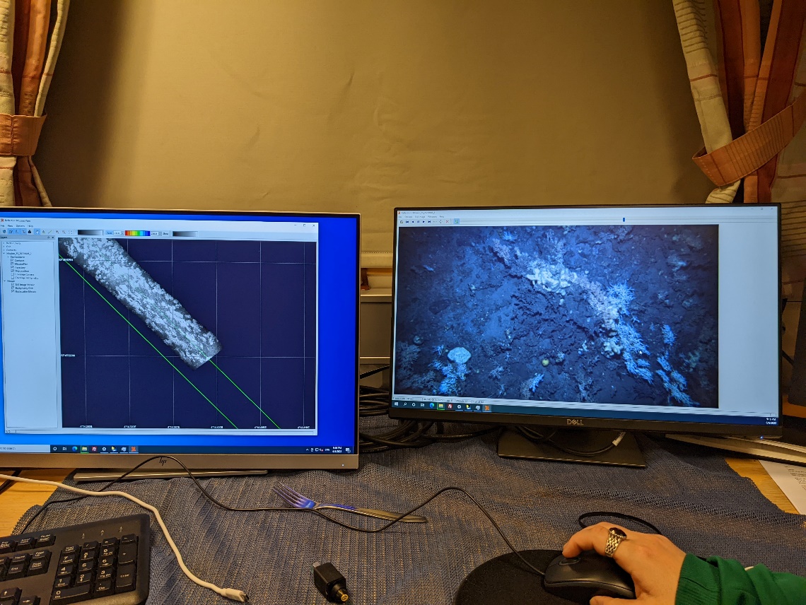 Photo showing two computer screens on board and someones hand on a mouse. The left screen shows a photomosaic being created, and the righ screen shows a coral reef photo.