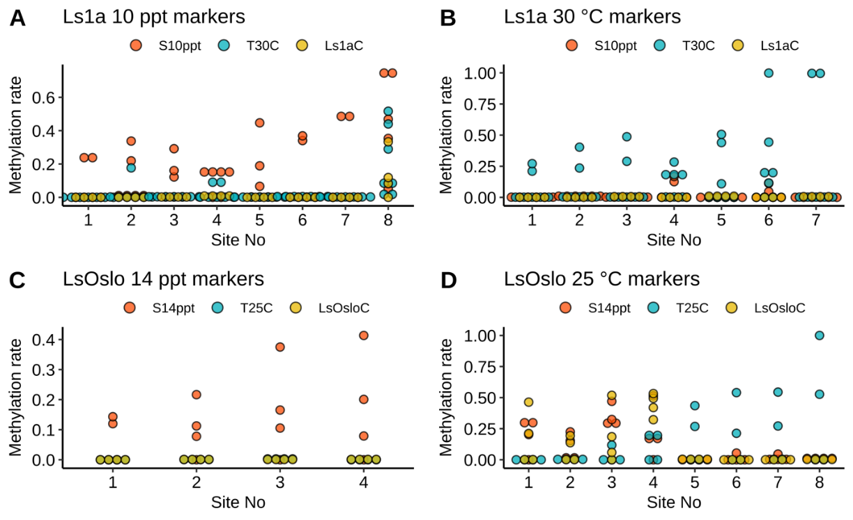 Figure 26 shows that there is variability even in the methylation levels even in marker selected for their potential diagnostic use. The figure also shows that the methylation patterns at the selected sites are not consistent between strains.