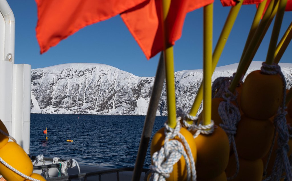 Bilde tatt fra dekk på en båt. I sjøen flyter det merker fra en utsatt bøye. Snødekte fjell i bakgrunnen.