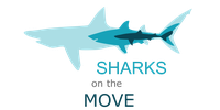 sharks_box.png