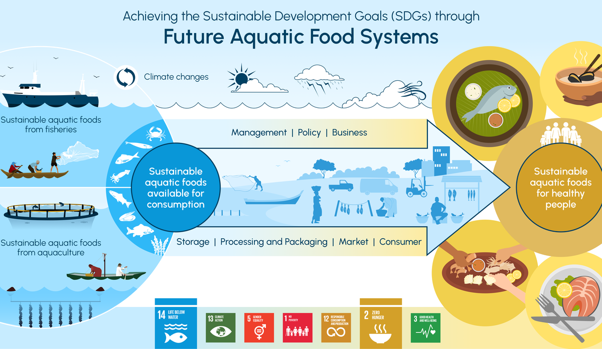 
infographic - framtidens sjømatsystemer 