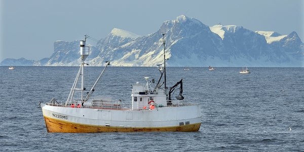 

Fiskebåt på fjorden med snødekte fjell i bakgrunnen.